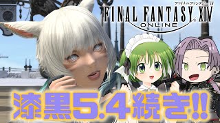 【FF14 Ifrit】漆黒54の続き！あわよくば漆黒最後の55へ…！！※ネタバレ注意【逸見庵仁個人Vtuber】 [upl. by Suilenrac]