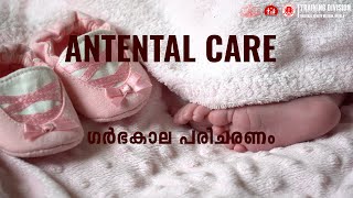 Antenatal Care ഗർഭകാല പരിചരണം [upl. by Garth]