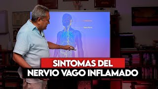 NERVIO VAGO INFLAMADO [upl. by Llirret]