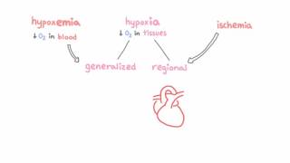 Introduction to hypoxemia [upl. by Auqcinahs]