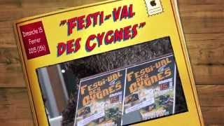 quotFESTIVAL des CYGNESquot LA BAULE    FRIENDLY    FG [upl. by Schilit]