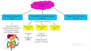 Gastrointestinal reflexes Chapter 63 part 4 Guyton and Hall Physiology [upl. by Gnoht]