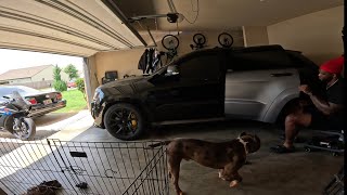 Trackhawk Wrap removal pt 2 Merle Bully special appearance [upl. by Maximilien431]