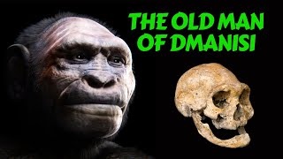 Dmanisi Hominids  Mysterious Archaic Human Origins Explained [upl. by Frager]