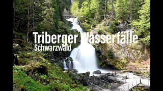 Triberger Wasserfälle Schwarzwald  Natascha onAir [upl. by Ahsii641]