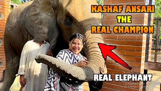 Kashaf Ansari The Real Champion  With Age 100 Year Elephant  KASHAF VLOG [upl. by Theadora542]