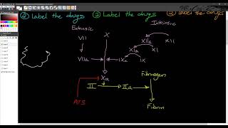 1210  PCOL Final Review Anticoag AlphaBeta Drugs [upl. by Brey140]