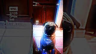 Cha pei vs pug chapei pug dog JSBattles [upl. by Ethbinium477]