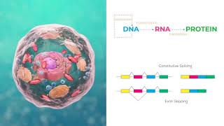 Transcriptomics 1 Introduction to RNASeq bioinformatics analysis of gene and isoform expression [upl. by Nekcerb687]