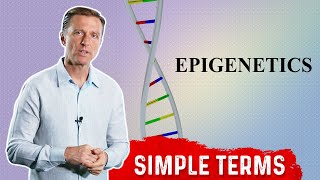 What Is Epigenetics In Simple Terms  DNA Sequencing – DrBerg [upl. by Nyltac630]