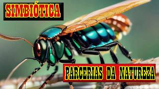 Parcerias da Natureza Relações Simbióticas no Mundo Animal [upl. by Feirahs]