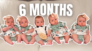 Happy 6 Months To The Freels Quintuplets [upl. by Acul495]