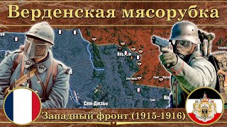 Верденская мясорубка Западный фронт Первой мировой войны 19151916 [upl. by Andrade]