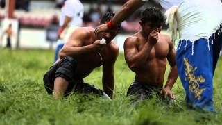 Edirne Kirkpinar 2014 Oil Wrestling [upl. by Giulia]