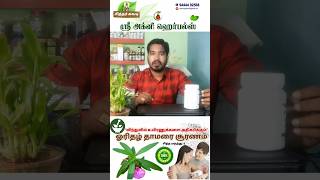 orithazh thamarai choornam  ஓரிதழ் தாமரை சூரணம் shorts trendingshorts siddhamedicine herbal [upl. by Richter]