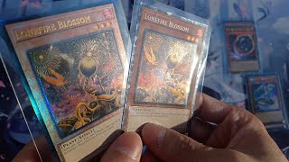 4K Collectors Rare vs Ultimate Rare Which looks better Comparing YuGiOh Rarity Collection [upl. by Anaihs]