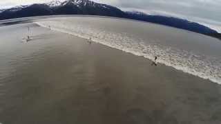 Alaska bore tide surfing [upl. by Ninon]