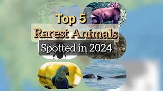 Top 5 Rarest Animals Spotted in 2024  Astonishing Wildlife Discoveries  Top Five IN [upl. by Yromas117]