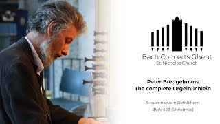 BWV 603  Puer natus in Bethlehem  Peter Breugelmans [upl. by Dud]