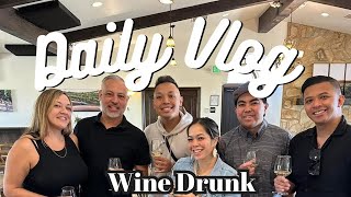 Daily Vlog  Wine Drunk [upl. by Davida610]