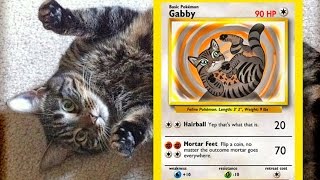 Make your Pet a Pokémon  Game LÜT [upl. by Yslek]