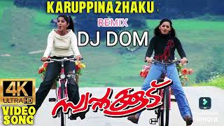 Karuppinazhaku Dance Remix  DJ DOM [upl. by Riggins]