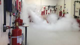 CO2 Fire Suppression System Discharge at Koorsen Training Center [upl. by Sibylle]