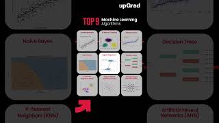 Top 9 Machine Learning Algorithms 2025  Machine Learning Algorithms for Data Science [upl. by Anialed644]