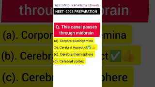 MCQ FOR NEET 2025 Preparation quickrevision neetaspirants ncertmcq neetiferousacademy etawah [upl. by Mathias147]