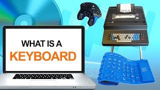 What is a Computer Keyboard  Keyboard Definition  Types of Keyboard  Computer Hardware [upl. by Skipper514]