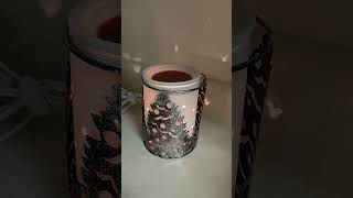 Best performing warmers Here are my recommendations warmers tipstuesday Scentsy [upl. by Adnilrem]