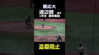 慶応大 1年生 渡辺憩 選手 盗塁阻止（2024年東京六大学野球秋季リーグ 早稲田大vs慶応大）昨年の夏の甲子園 優勝選手 [upl. by Htebaile]