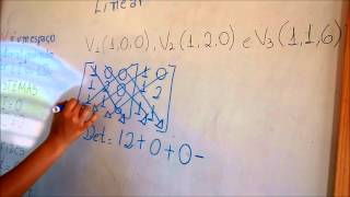 UNEMAT  Algebra Linear LD e LI [upl. by Eecram546]