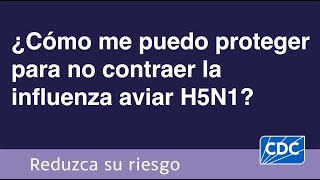 ¿Cómo me puedo proteger para no contraer la influenza aviar H5N1 [upl. by Anavahs43]