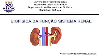 Biofísica da função renalparte 3 osmolaridade e tonicidade [upl. by Dode]