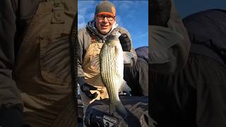 Catching Cold Water Striped Bass [upl. by Suki]