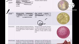 Cell Organelles In DetailDr Zeshan 3 [upl. by Kone201]