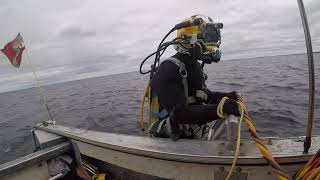 Lake Ontario Diving [upl. by Stu]