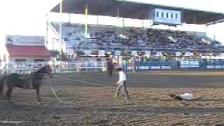 Calf Roping horse for sale  quotFredquot at Cody WY  SOLD [upl. by Attenov290]