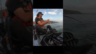 Kayak Ocean Fishing for California Halibut fishing kayakfishing Vibekayaks [upl. by Altaf]