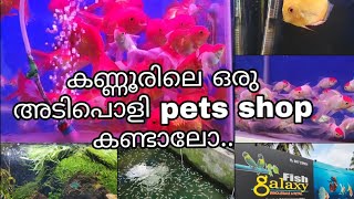 കണ്ണൂരിലെ ഒരു അടിപൊളി aquarium shop കണ്ട് നോക്ക്Aquarium shop visit in kannur [upl. by Yenffad]