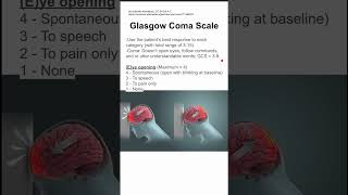 Glasgow Coma Scale [upl. by Jacy605]