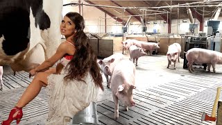 Inside the Modern Pig Farm withme and Pretty Girl⏐Raising and Caring for Pigs Unveiled [upl. by Val]