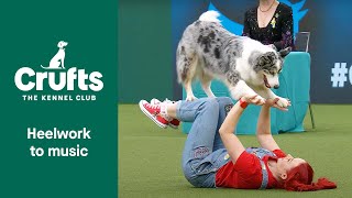 Freestyle International Heelwork to Music Competition  Part 3  Crufts 2022 [upl. by Owades]