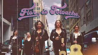 Flor De Toloache  Soledad Versión NY  Cover Audio [upl. by Oretos255]