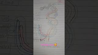 septal Nephridia of Earthworm with easy way  Biology lovers💞  Super easy way of earthworm [upl. by Natloz]