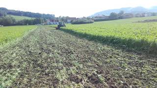 Begrünung einarbeiten mit Scheibenegge und Fendt 313 im Melktal [upl. by Derej981]