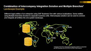 Intercompany and MultiBranch Setup for SAP Business One [upl. by Danczyk]