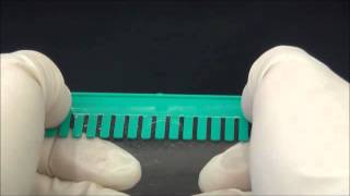 How to remove the comb from SDSPAGE gel method 2 [upl. by Ketty999]