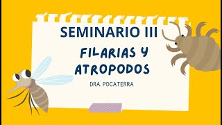 Seminario Filarias y Artropodos parte I Dra Pocaterra [upl. by Schlenger]